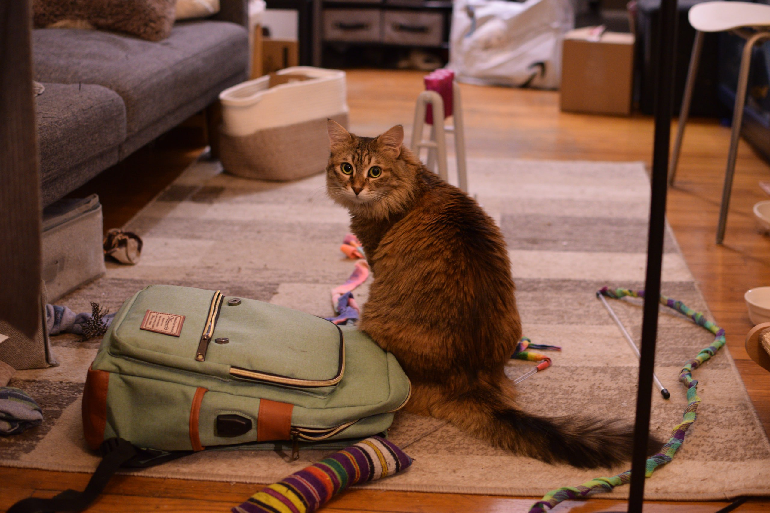 Orna, uploaded photo 3