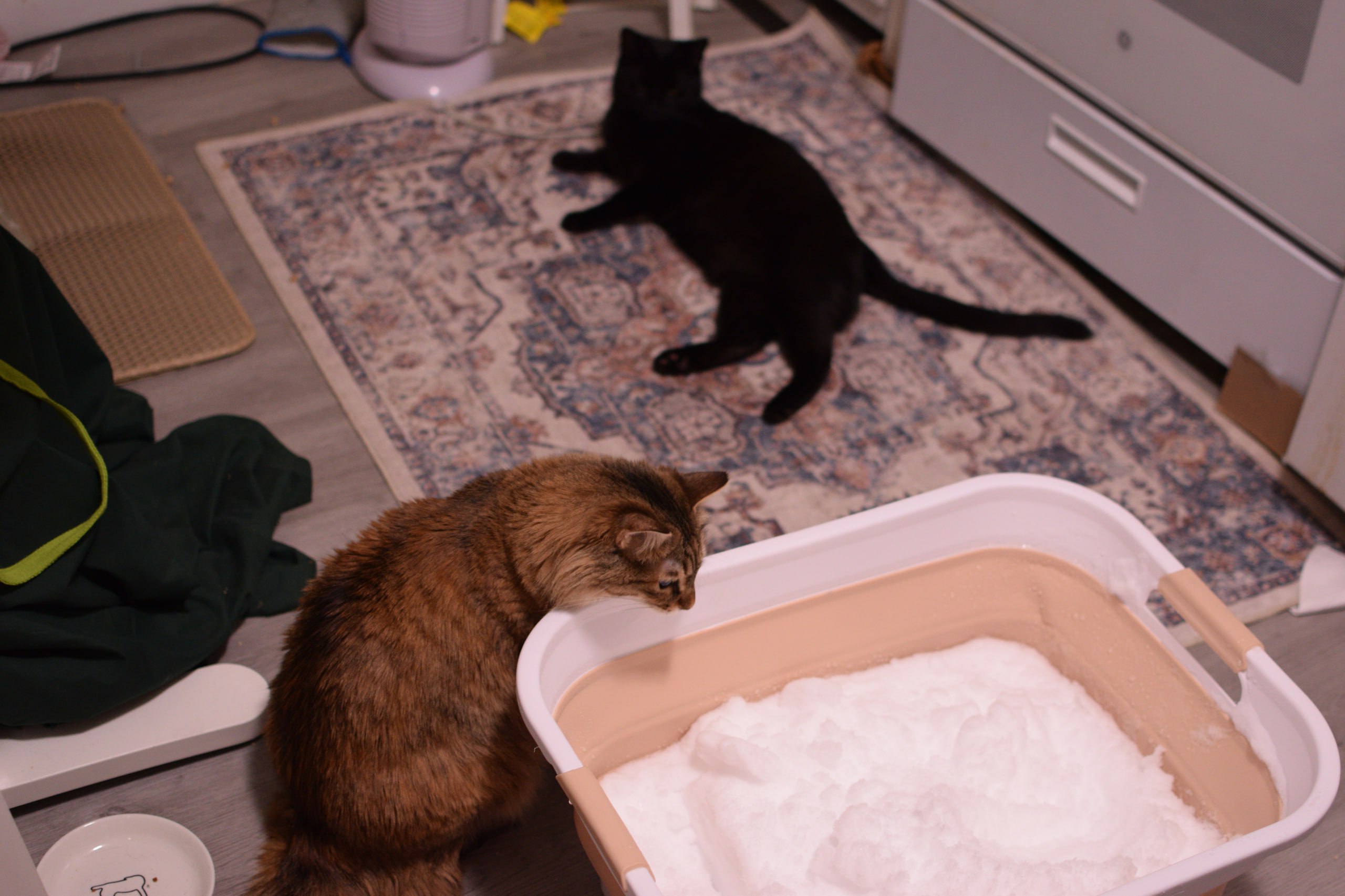 Orna, uploaded photo 4